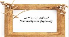 پاورپوینت فیزیولوژی سیستم عصبی
